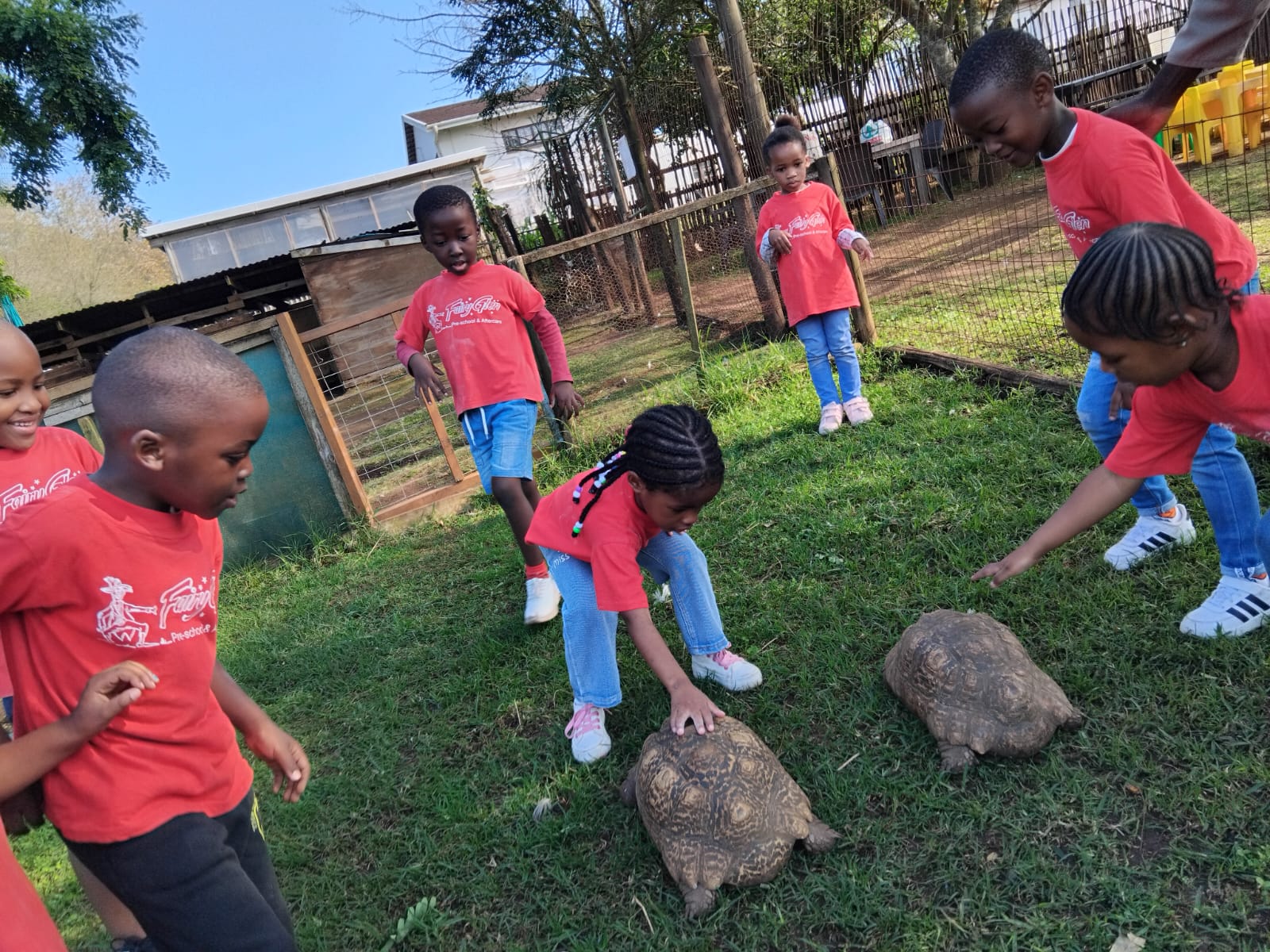 Preschool children discovering tortoises on an outing